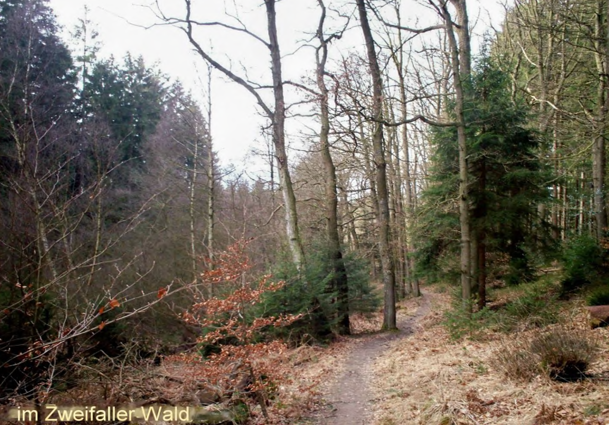 191215_wanderung